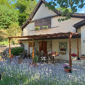  Bed & Breakfast La Colombaia Amiata Italia